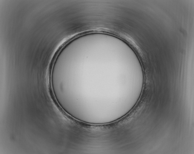 X0000112921032200908241026