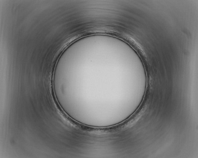 X0000112921033200908241026