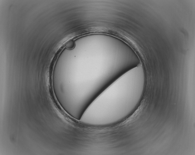 X0000112921034200908241026