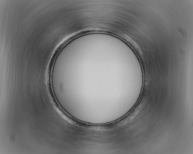 X0000112921037200908241026