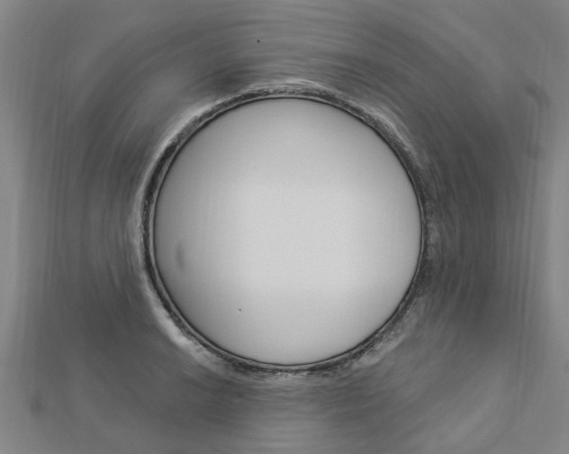 X0000112921038200908241026