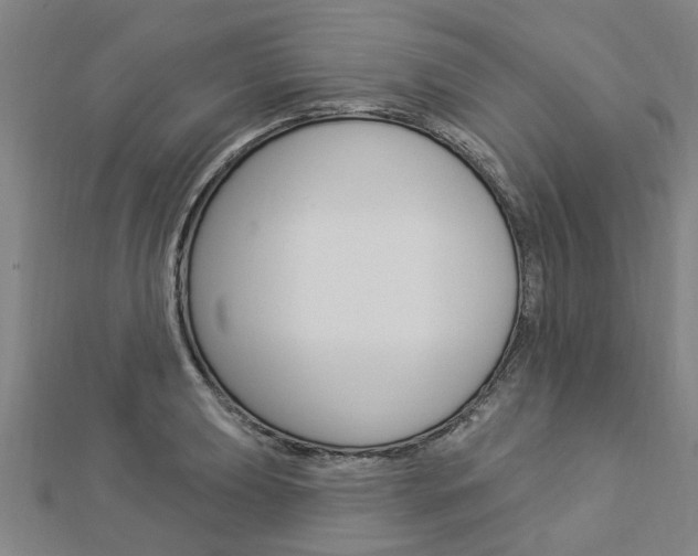 X0000112921039200908241026