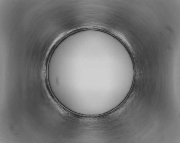 X0000112921040200908241026
