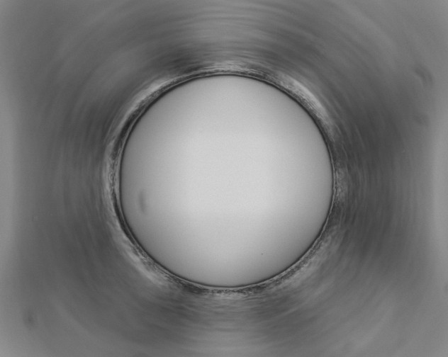 X0000112921043200908241027