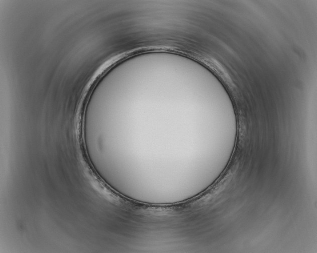 X0000112921044200908241027