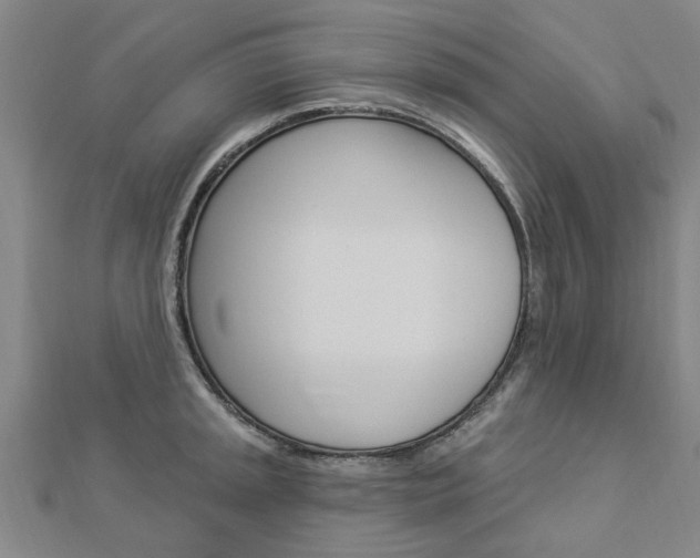 X0000112921045200908241027
