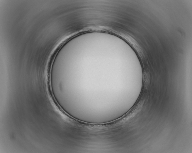 X0000112921046200908241027