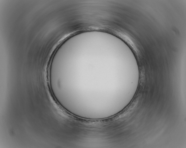X0000112921047200908241027