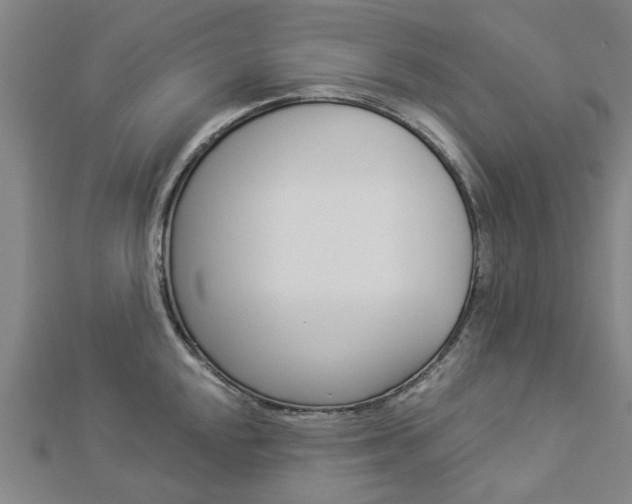 X0000112921048200908241027