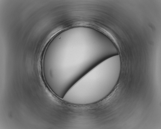 X0000112921050200908241027