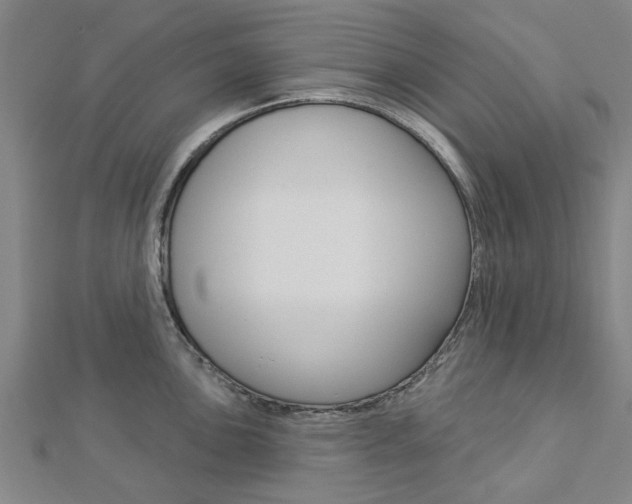X0000112921051200908241027