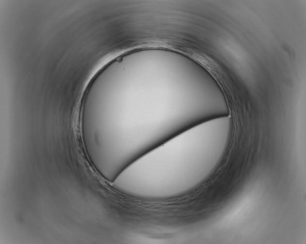 X0000112921052200908241027