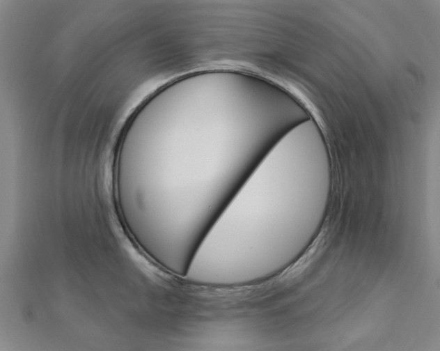 X0000112921054200908241027