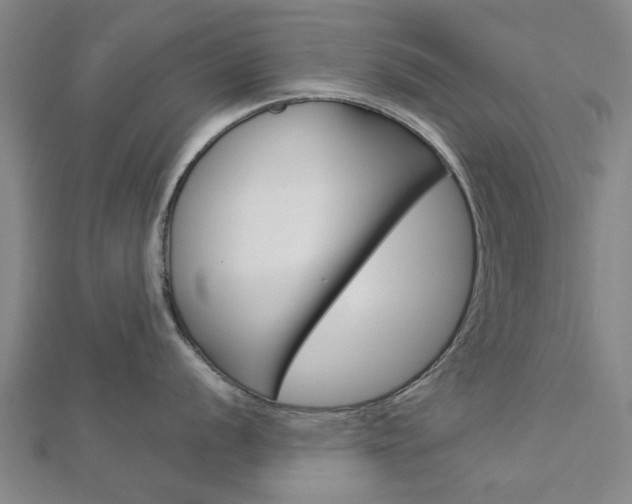 X0000112921056200908241027
