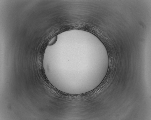 X0000112921058200908241026