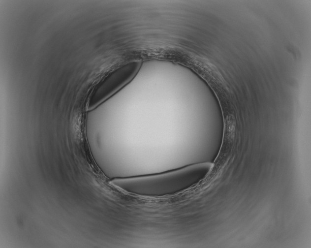 X0000112921060200908241026