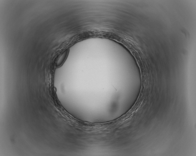 X0000112921061200908241026