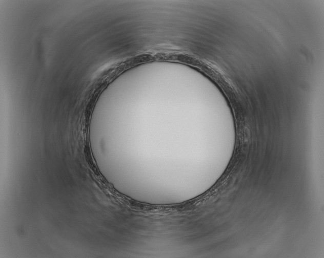 X0000112921063200908241026