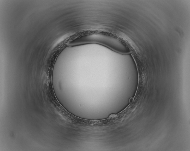 X0000112921064200908241026