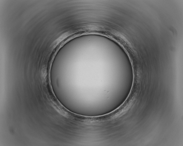 X0000112921065200908241026