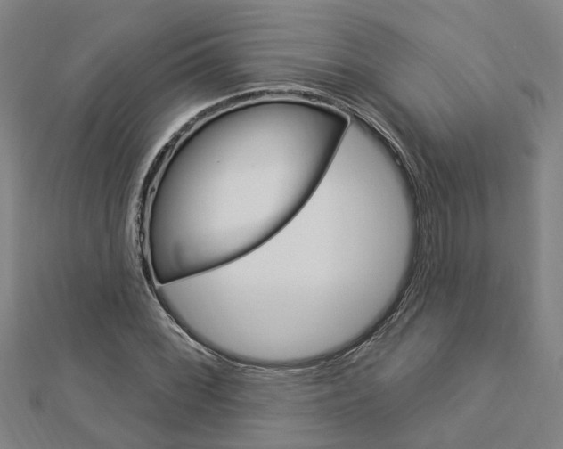 X0000112921068200908241026