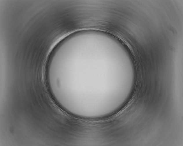 X0000112921069200908241026