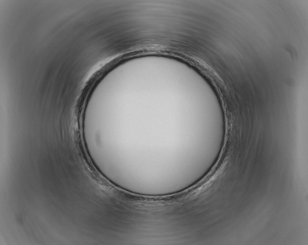 X0000112921070200908241026