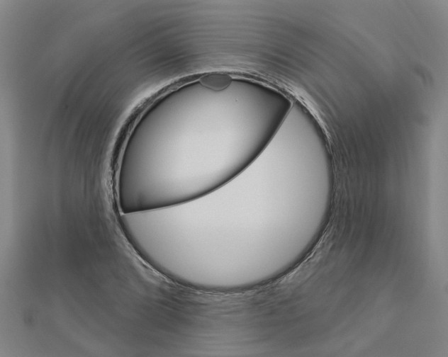 X0000112921072200908241026