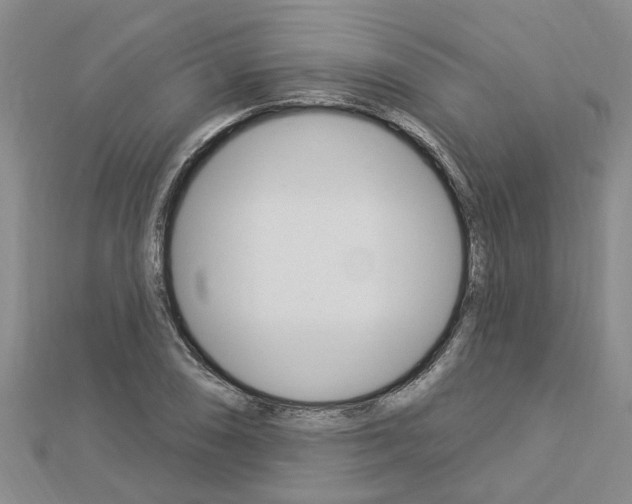 X0000112921074200908241026