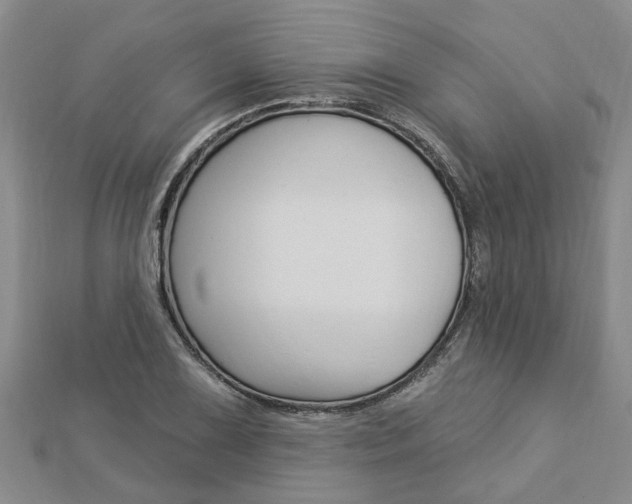 X0000112921075200908241025