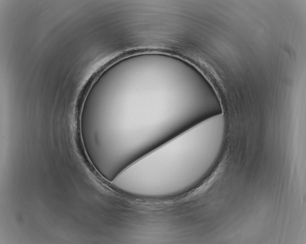 X0000112921077200908241025