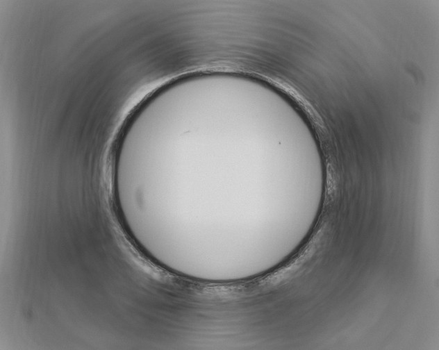 X0000112921078200908241025