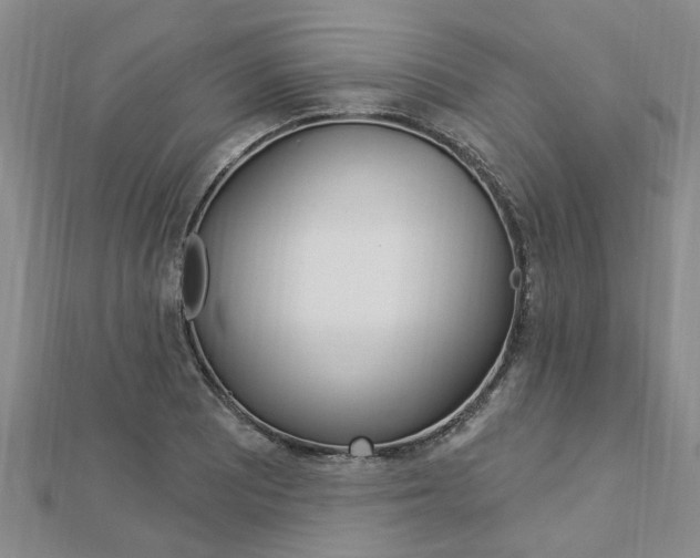 X0000112921081200908241025