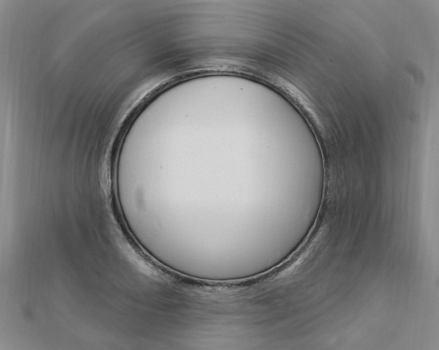 X0000112921082200908241025