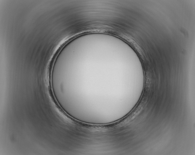 X0000112921083200908241025