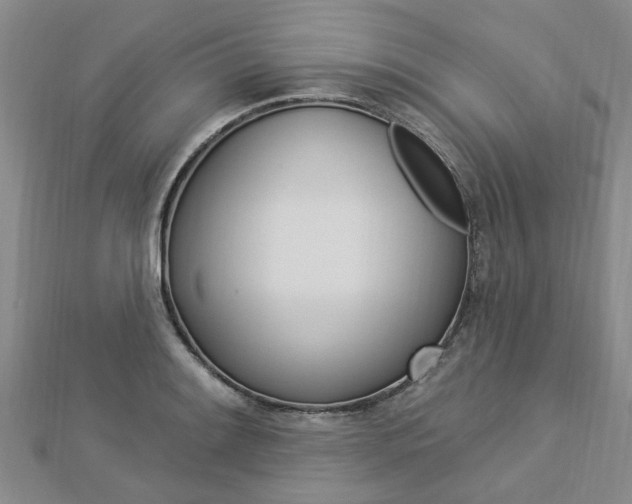 X0000112921084200908241025