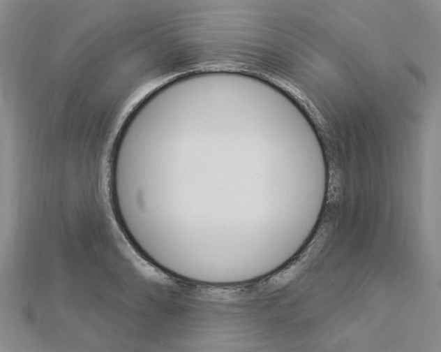 X0000112921086200908241025