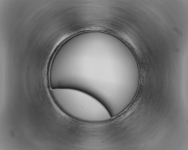 X0000112921087200908241025