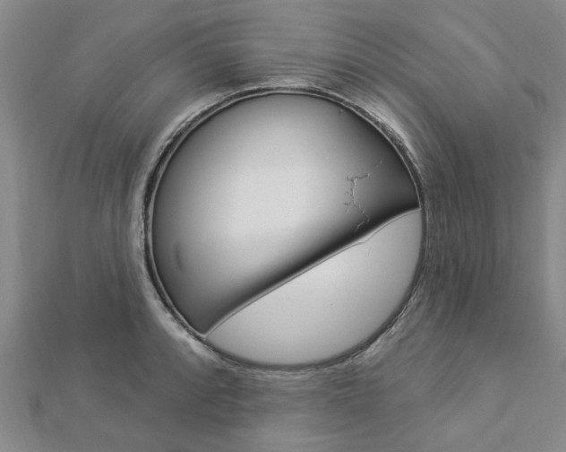 X0000112921088200908241025