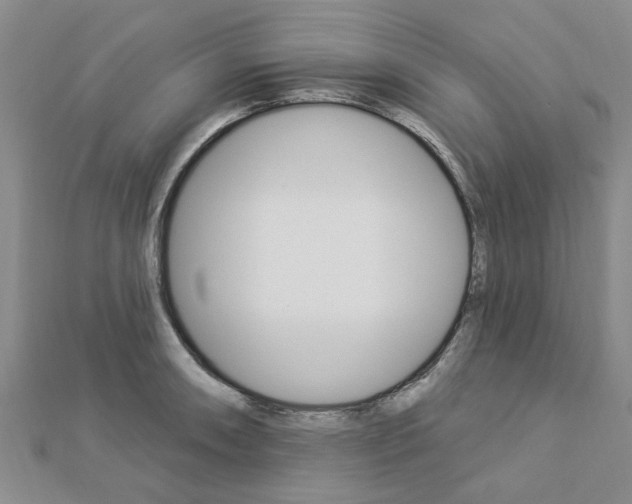 X0000112921090200908241025
