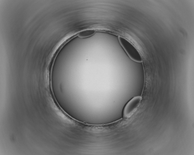 X0000112921092200908241025
