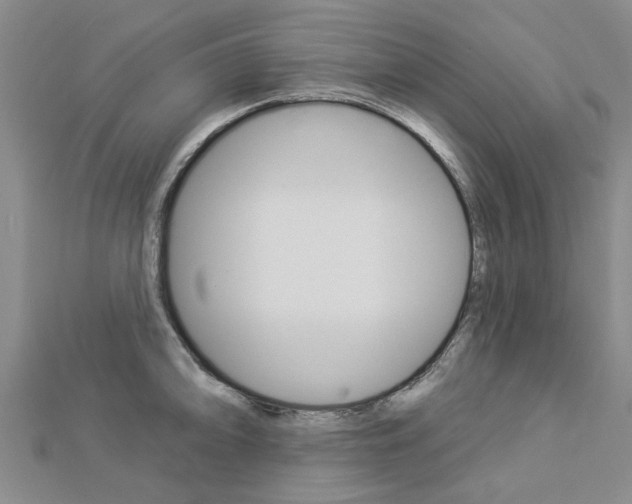 X0000112921094200908241025