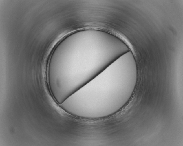 X0000112921099200908241025