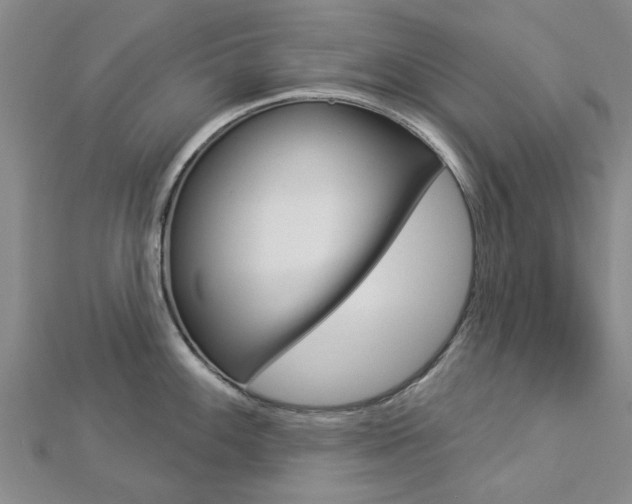 X0000112921100200908241025