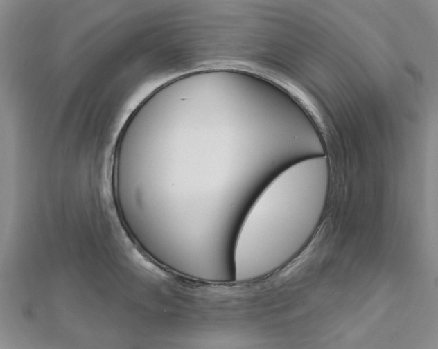 X0000112921102200908241025