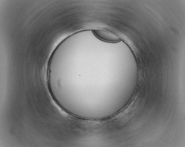 X0000112921103200908241025