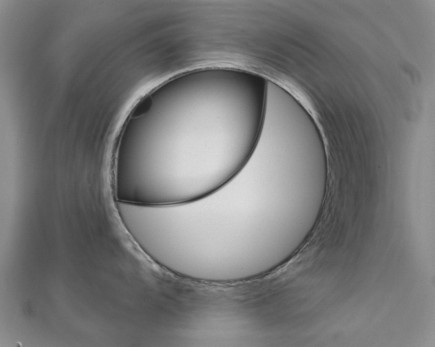 X0000112921104200908241025