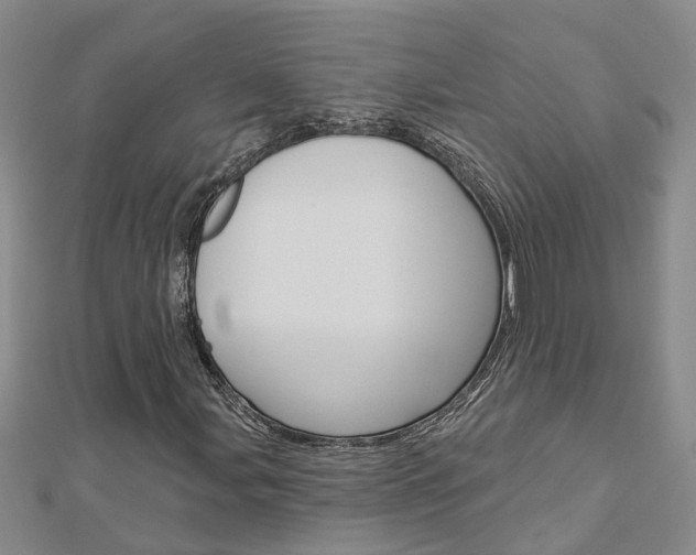 X0000112921107200908241025