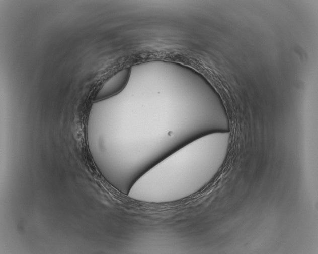 X0000112921109200908241025
