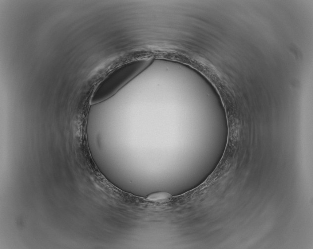 X0000112921110200908241025